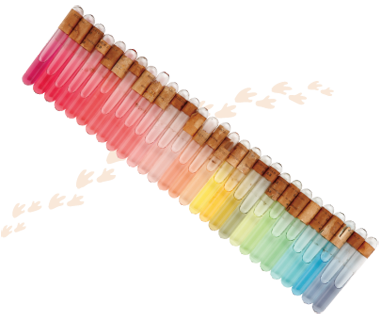 cl